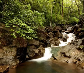 Day 4 – Gunji to Adi Kailash